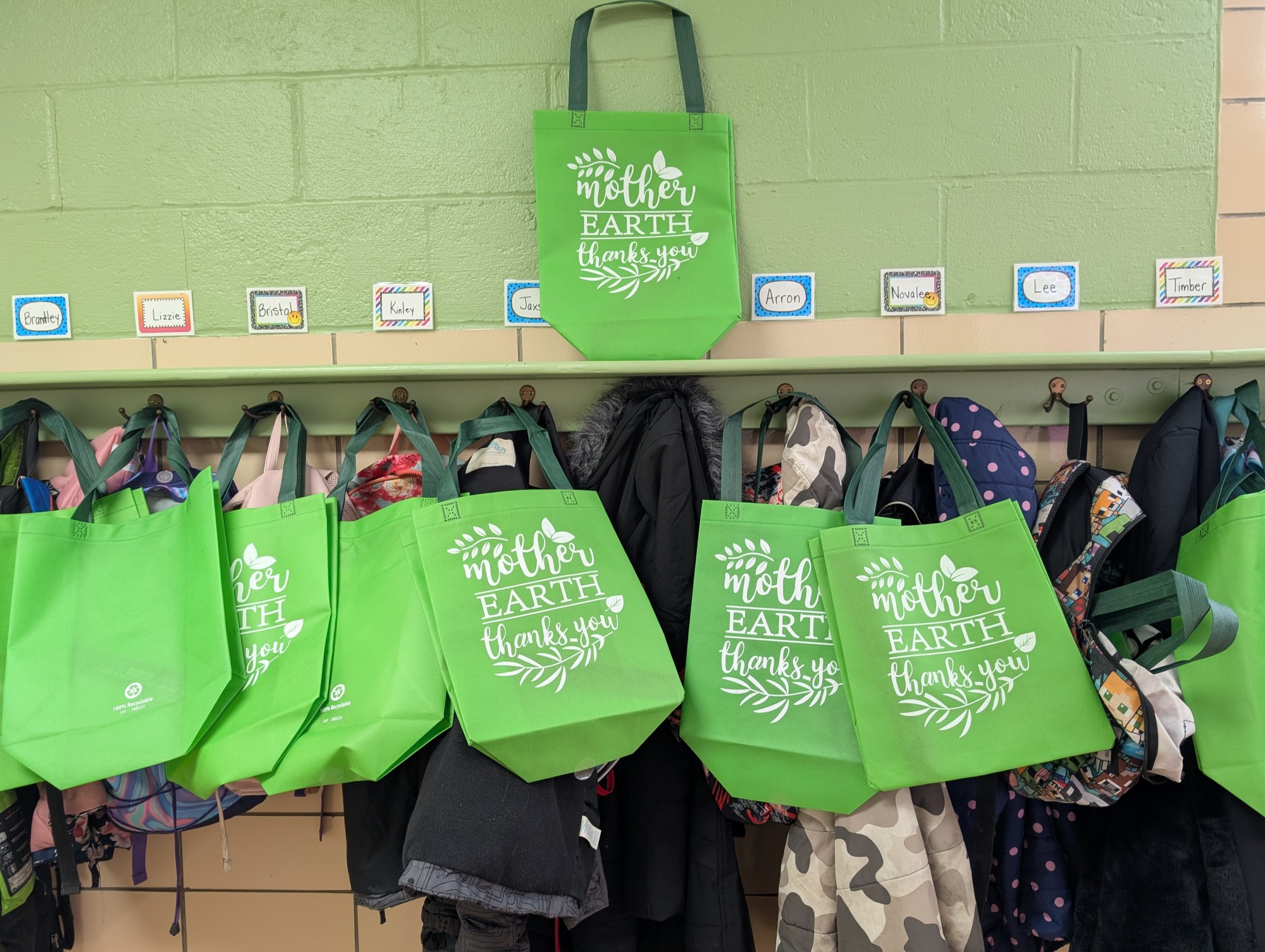 earth day bags