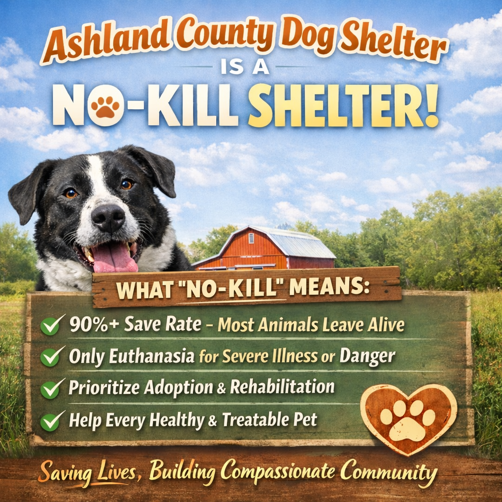 Resting Dog Stock Photos, Images and Backgrounds for Free Download