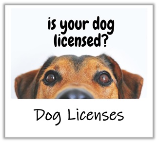 licenses