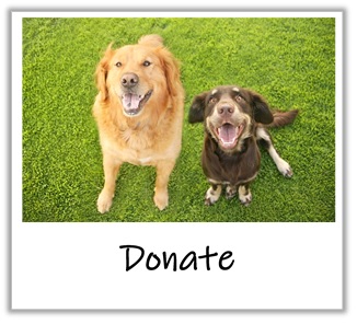 donate