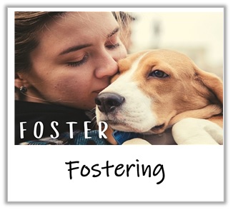 fostering
