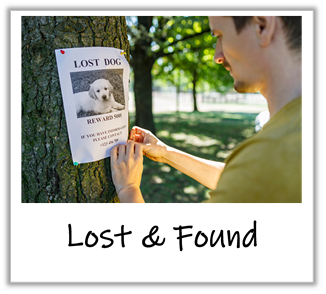 lost & found