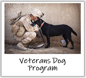 veterans dog program