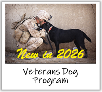 veterans dog program